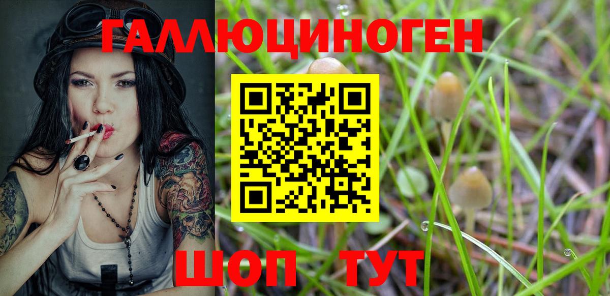 купить   Псилоцибиновые грибы GOLDEN TEACHER  Сызрань  Вход с VPN  Галлюциногенные грибы Psilocybine cubensis 